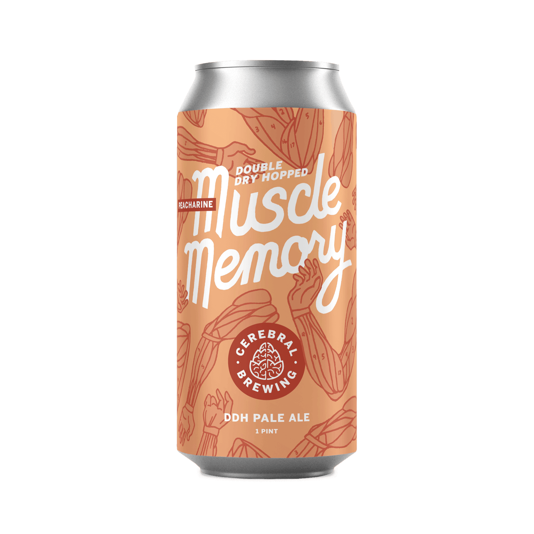 CEREBRAL BR MUSCLE MEMORY PALE ALE 4CAN 16 oz