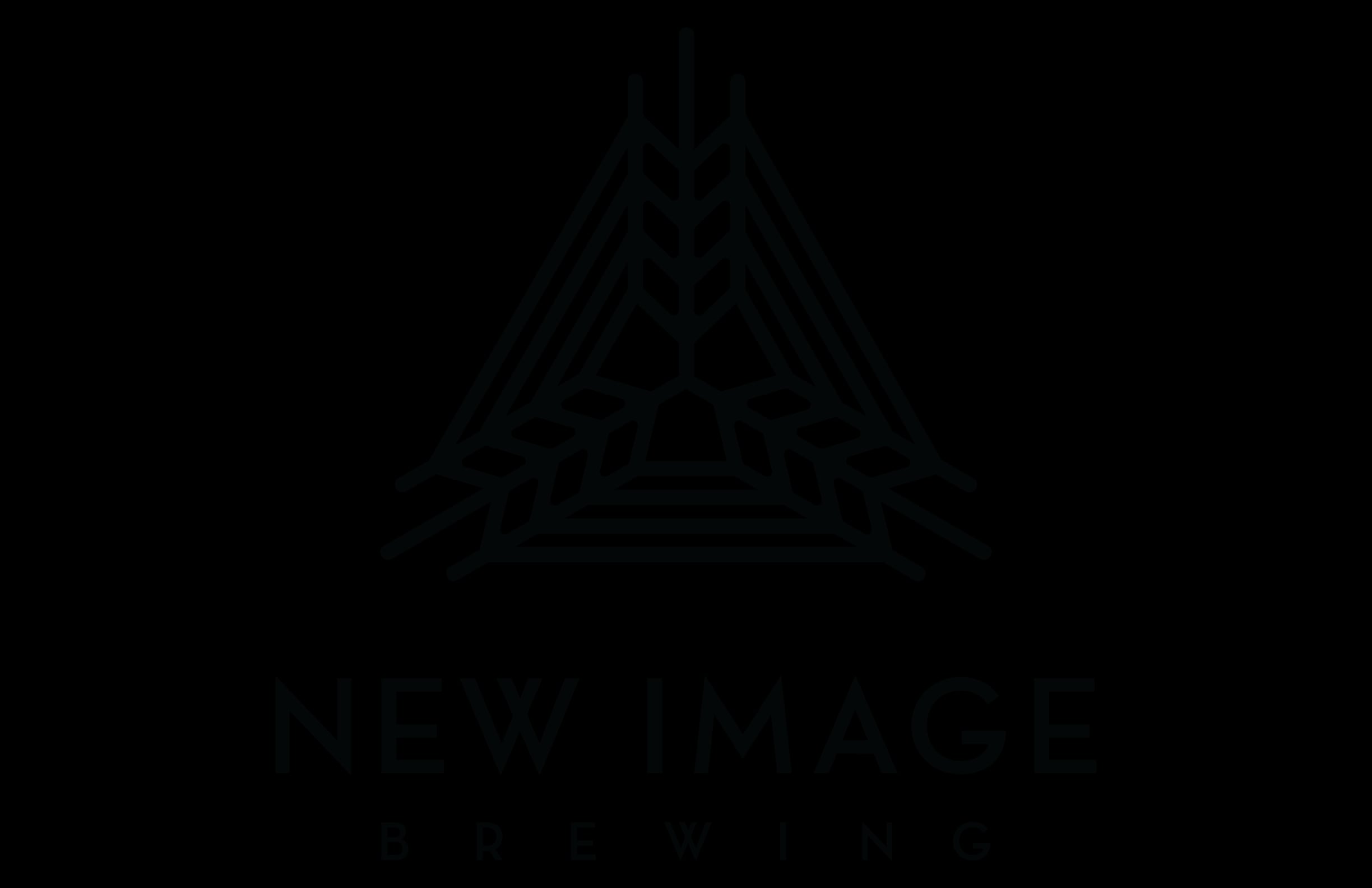 NEW IMAGE BR BRIGHT IPA 4CAN 16 OZ