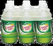 CANADA DRY GINGER ALE 6PK BTL 10 OZ